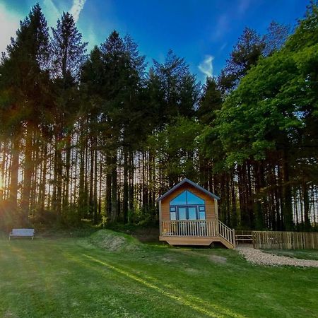 Cabin In The Woods - 1 Bedroom Lodge - Kilgetty Stepaside  外观 照片