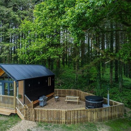 Cabin In The Woods - 1 Bedroom Lodge - Kilgetty Stepaside  外观 照片