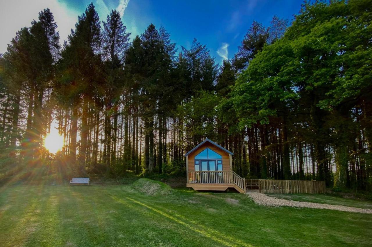 Cabin In The Woods - 1 Bedroom Lodge - Kilgetty Stepaside  外观 照片