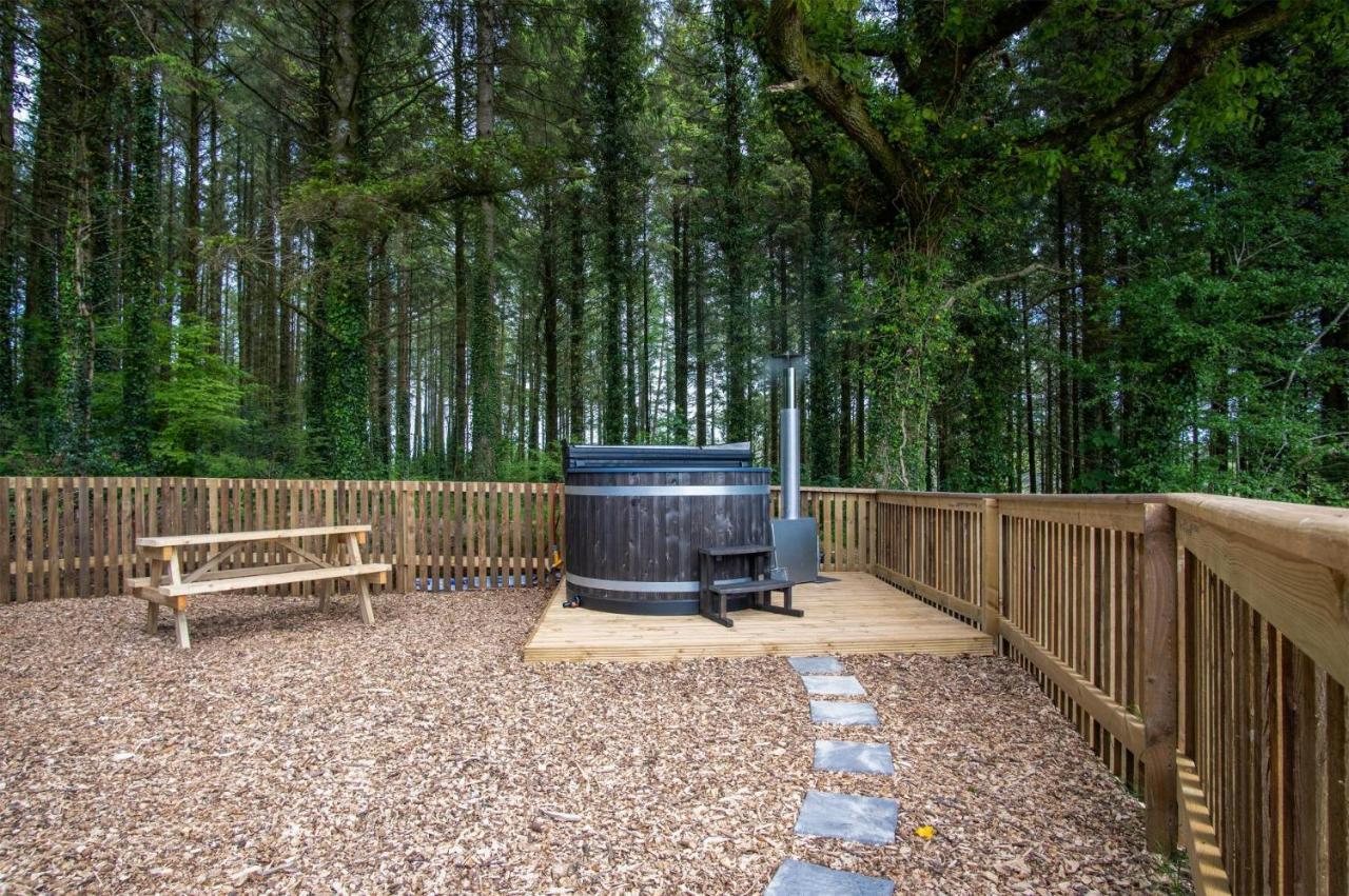 Cabin In The Woods - 1 Bedroom Lodge - Kilgetty Stepaside  外观 照片