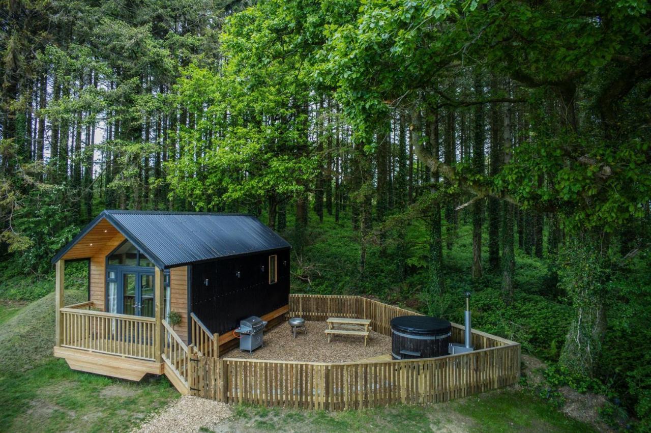 Cabin In The Woods - 1 Bedroom Lodge - Kilgetty Stepaside  外观 照片