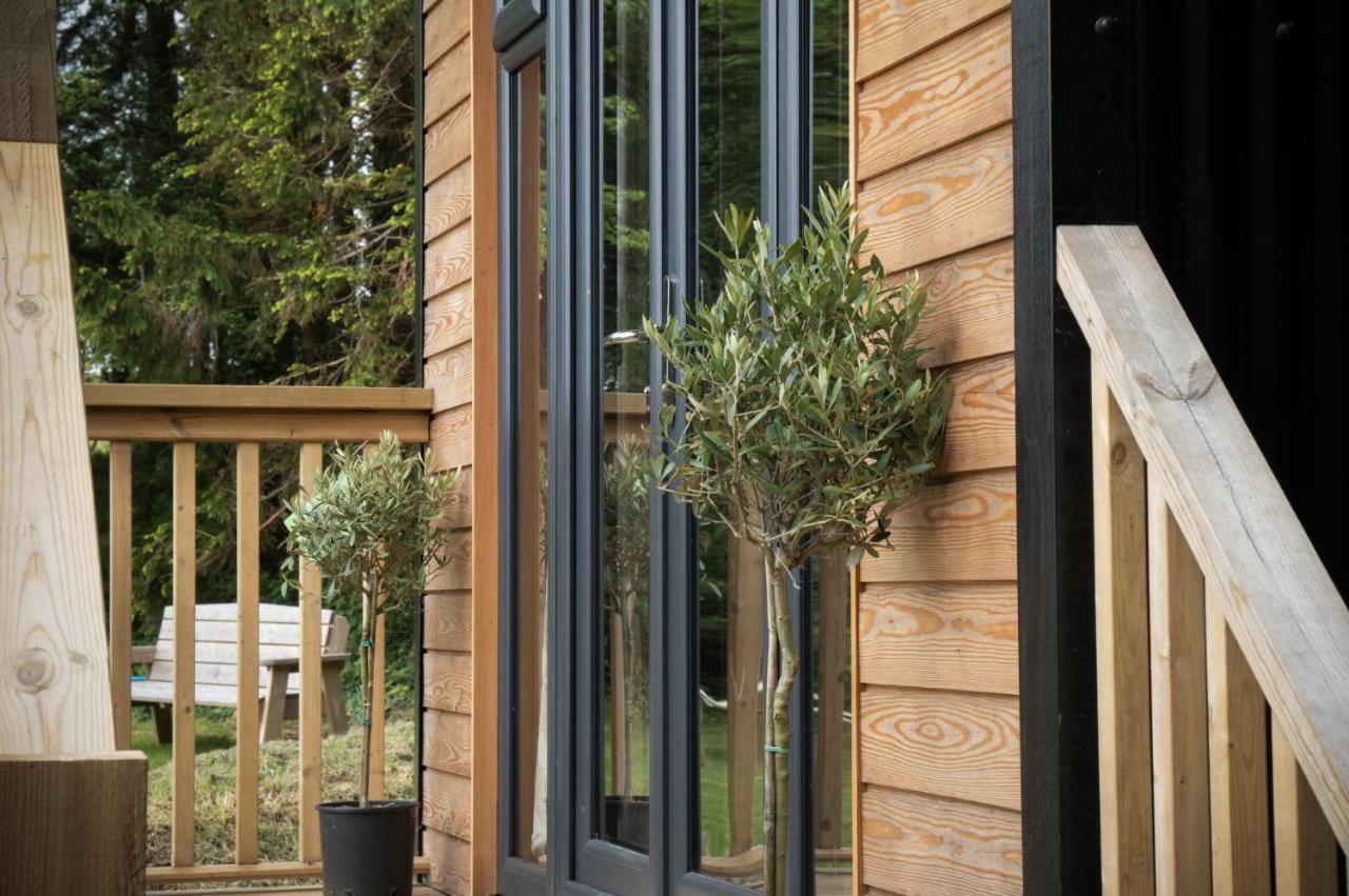 Cabin In The Woods - 1 Bedroom Lodge - Kilgetty Stepaside  外观 照片