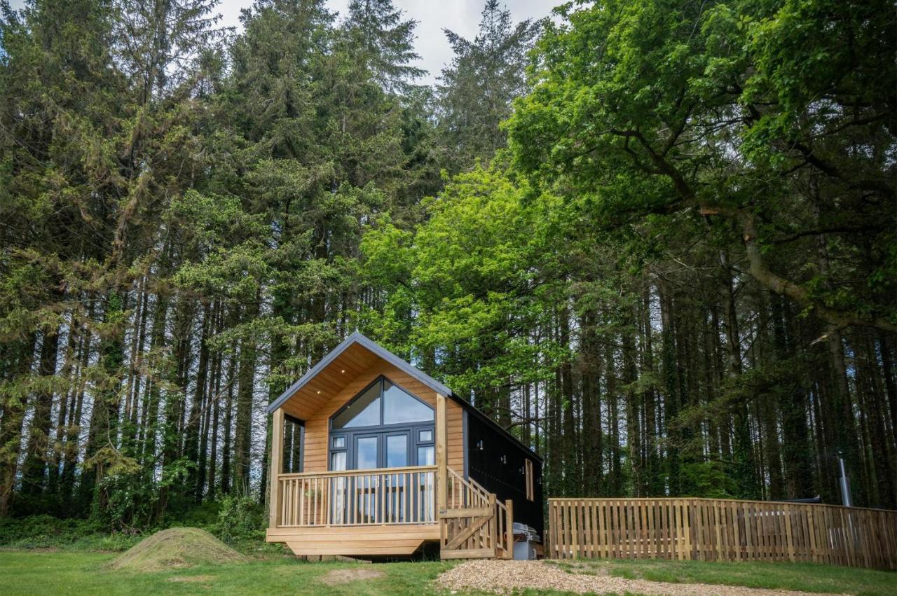 Cabin In The Woods - 1 Bedroom Lodge - Kilgetty Stepaside  外观 照片