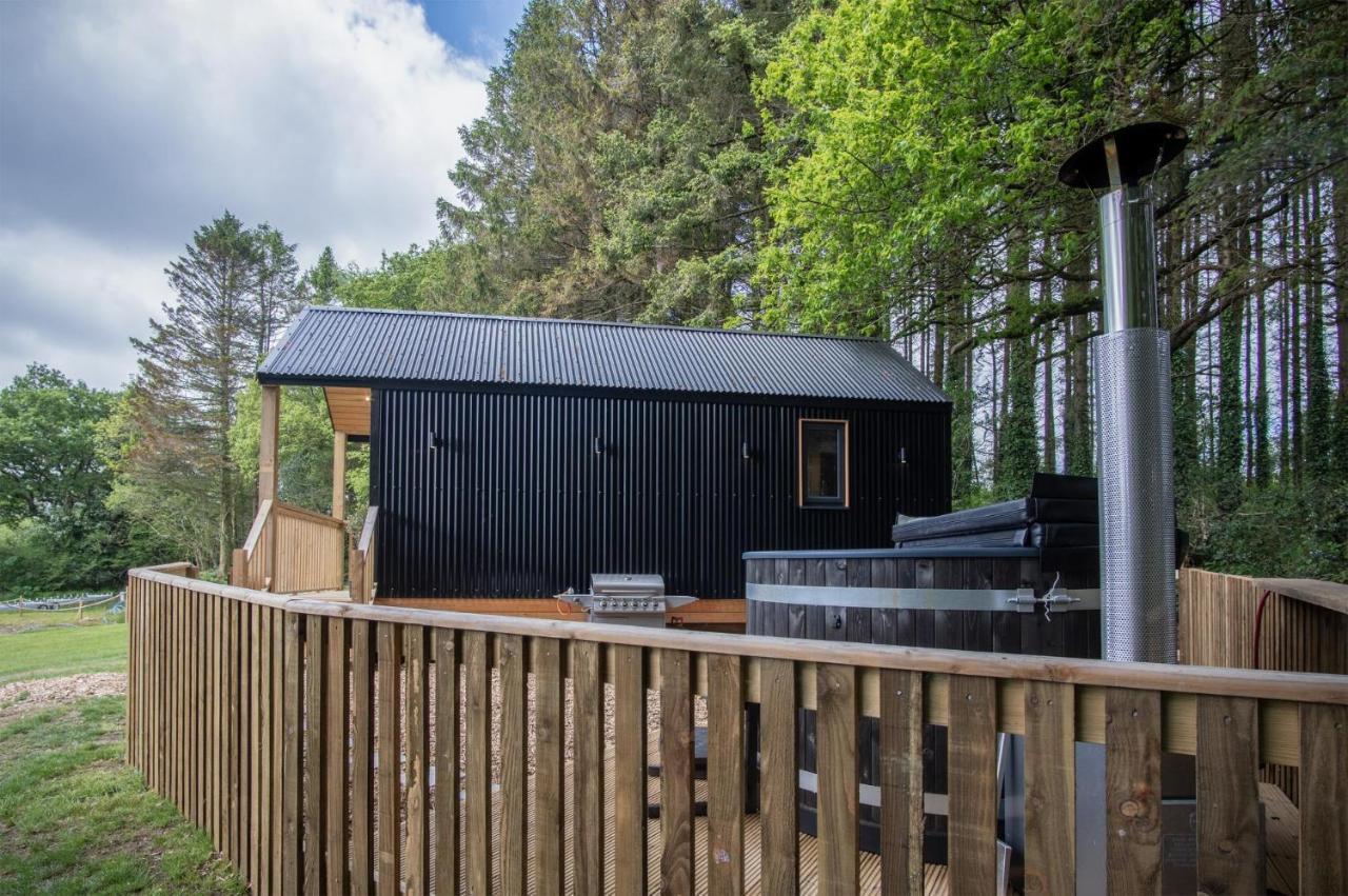 Cabin In The Woods - 1 Bedroom Lodge - Kilgetty Stepaside  外观 照片