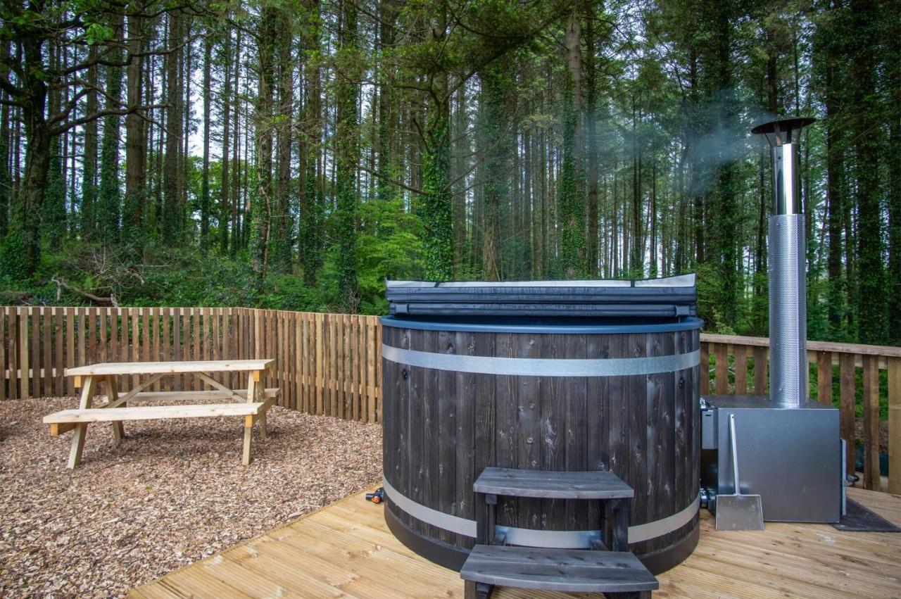 Cabin In The Woods - 1 Bedroom Lodge - Kilgetty Stepaside  外观 照片
