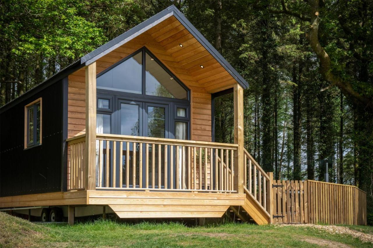 Cabin In The Woods - 1 Bedroom Lodge - Kilgetty Stepaside  外观 照片
