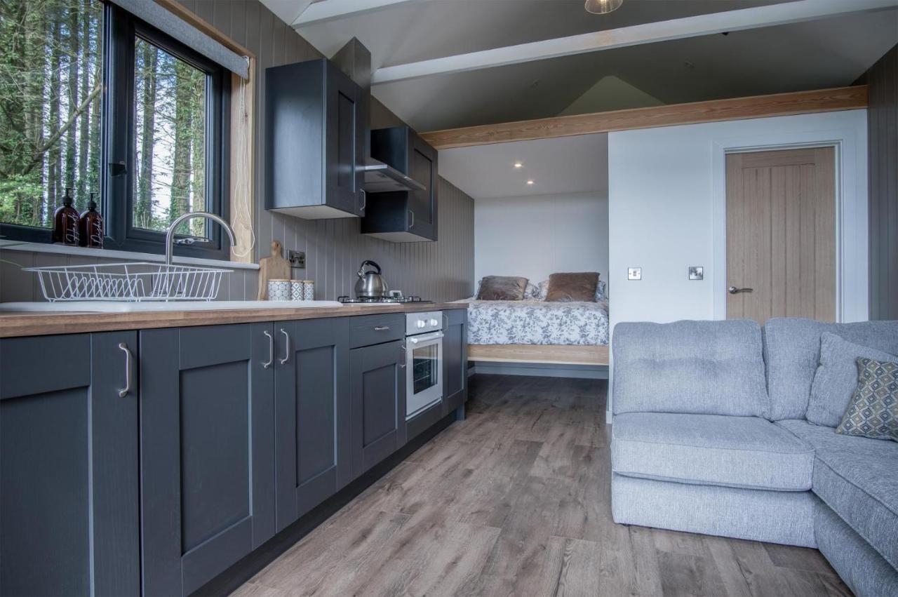 Cabin In The Woods - 1 Bedroom Lodge - Kilgetty Stepaside  外观 照片