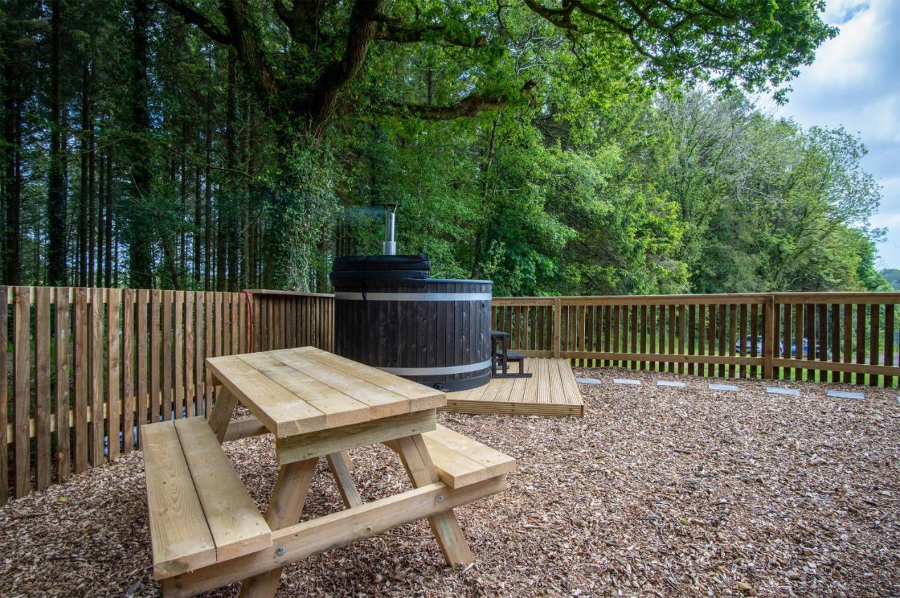 Cabin In The Woods - 1 Bedroom Lodge - Kilgetty Stepaside  外观 照片