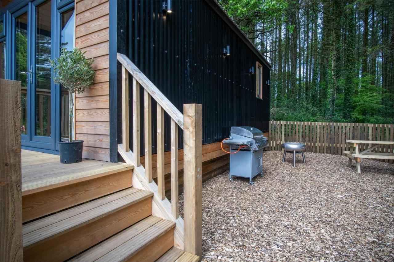 Cabin In The Woods - 1 Bedroom Lodge - Kilgetty Stepaside  外观 照片