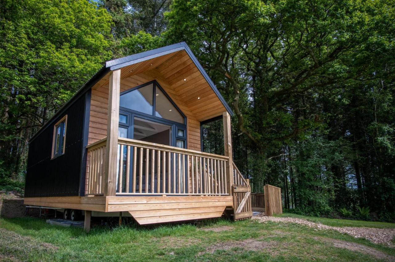 Cabin In The Woods - 1 Bedroom Lodge - Kilgetty Stepaside  外观 照片