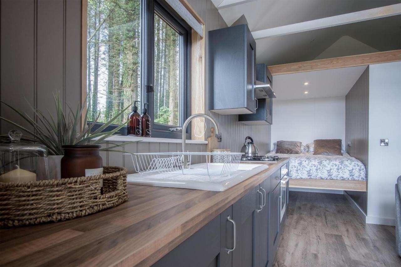 Cabin In The Woods - 1 Bedroom Lodge - Kilgetty Stepaside  外观 照片